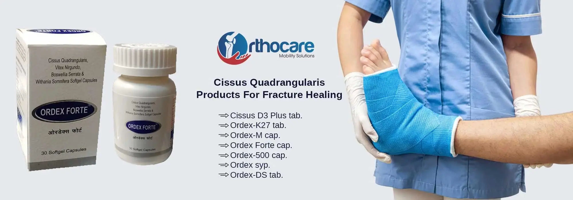 Cissus Quadrangularis Products For Fracture Healing Suppliers in Bhojpur